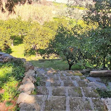 Residenza Cavalluccio Marino